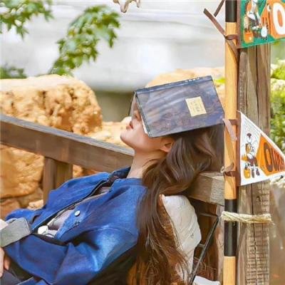 闲散太子纵横四海